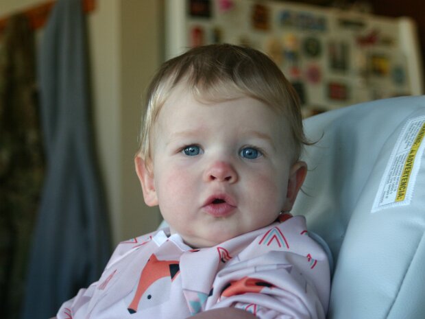 Amelia's First Birthday